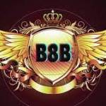 b8b1org