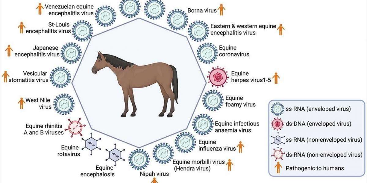 Equine Diseases Detection Reagents to Advance Veterinary Research and Diagnostics