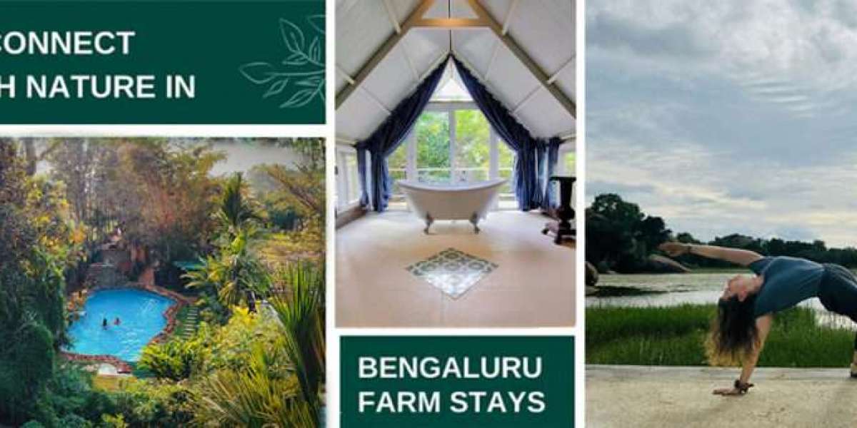Bengaluru Farm Stays: The Ultimate Guide to Peaceful Getaways Near Bangalore