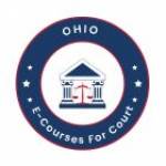 ecourseforcourtohio