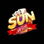 sunwin29 com