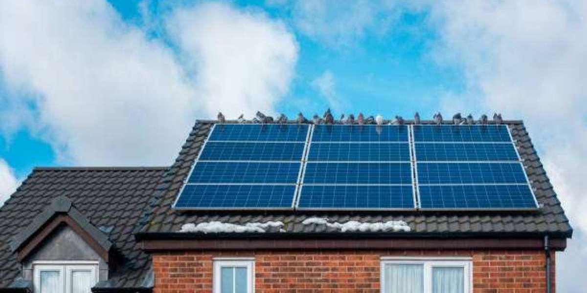 Pigeon Netting Installation: What to Expect Step-by-Step