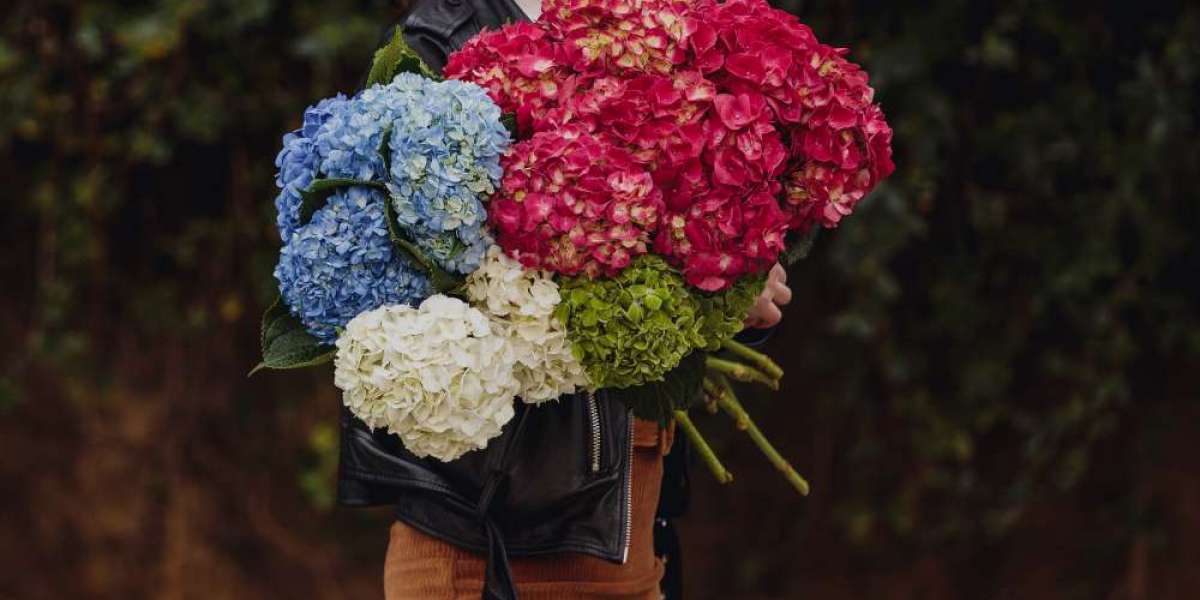 Hydrangea Bouquet SG for Elegant & Timeless Gifting