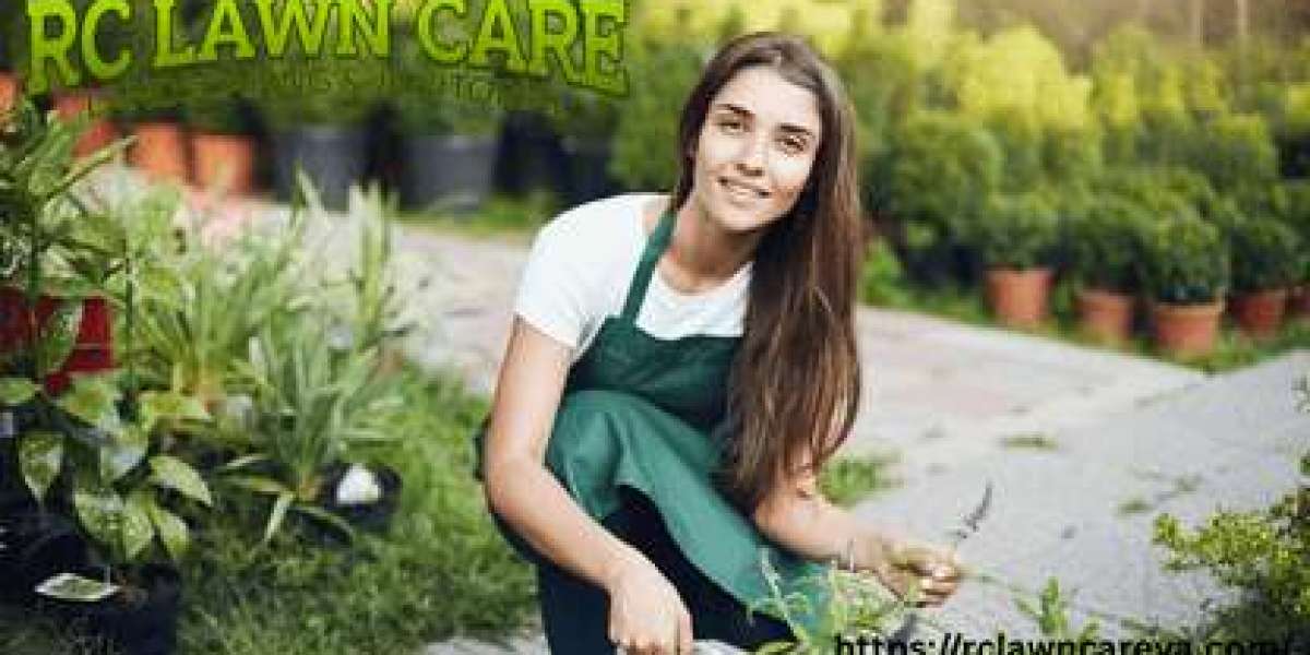 Best Landscapers Roanoke VA | RC Lawn Care