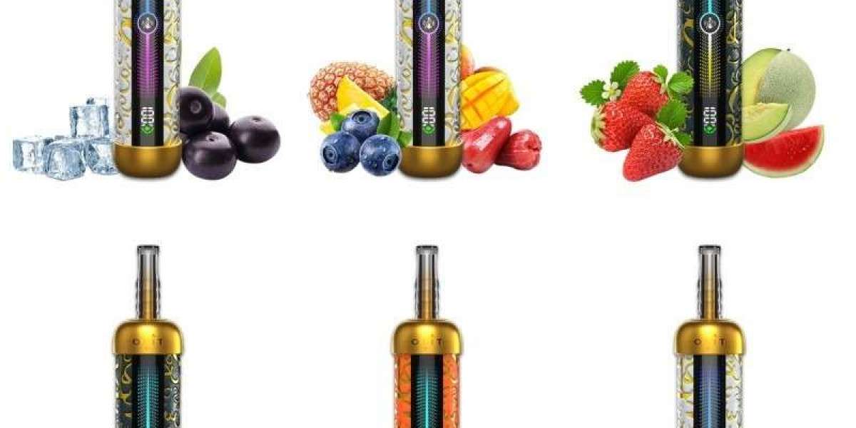 Blueberry Mint Olit Hookalit Pro 60K – Smooth Draw & Refreshing Taste