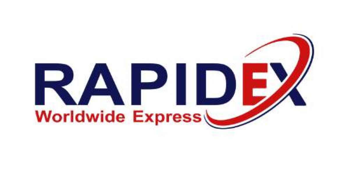 International Courier Services in Delhi: Your Complete Guide