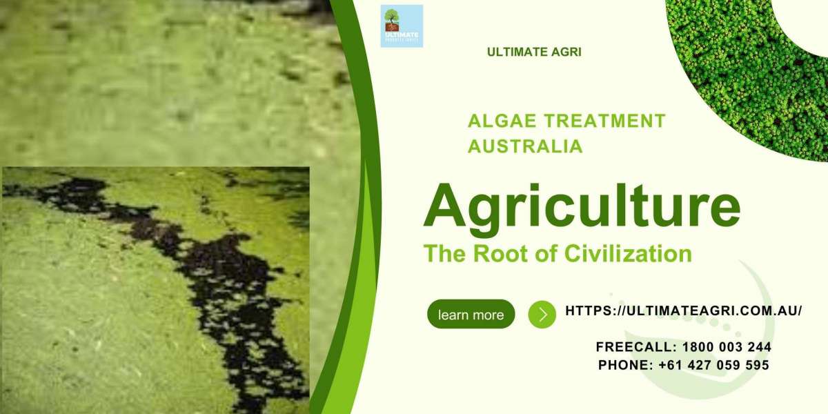 Algae Treatment Australia: Practical, Local Solutions for Cleaner Water in Melbourne