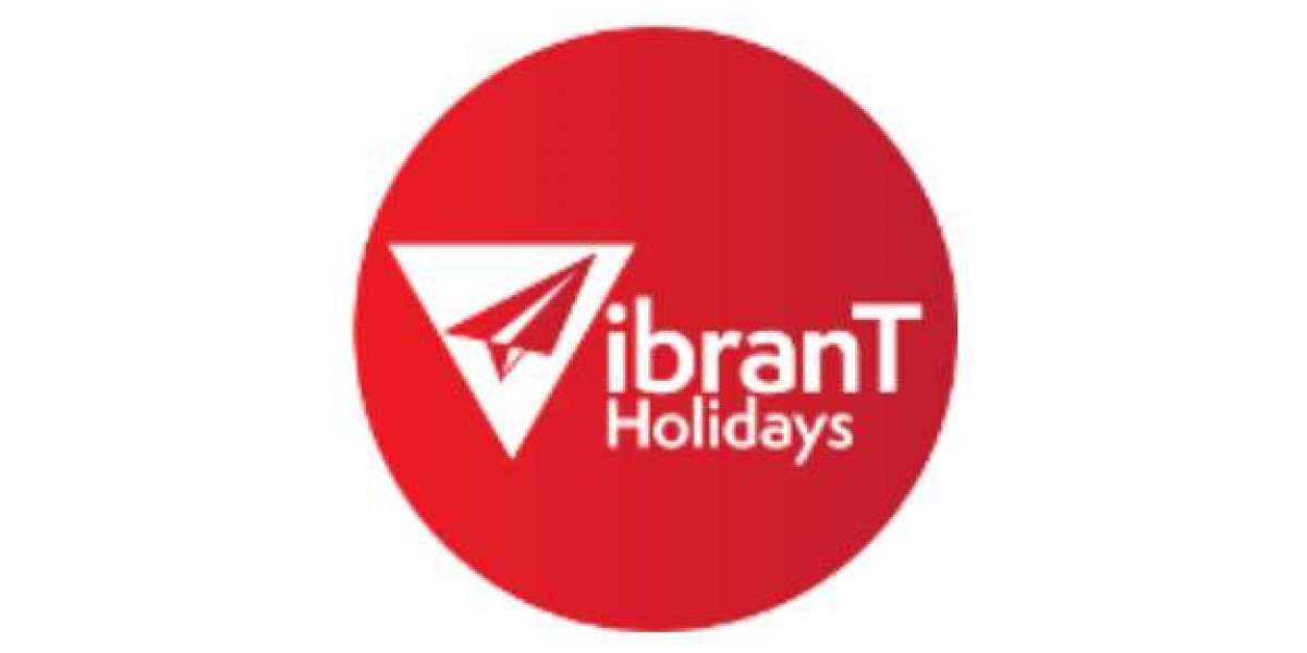 Vibrant Holidays Ahmedabad For Reliable Tour Packages