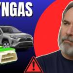 SynGas Erfahrungen