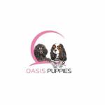 Oasis Puppies