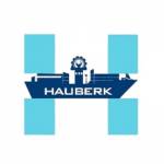 Hauberk global