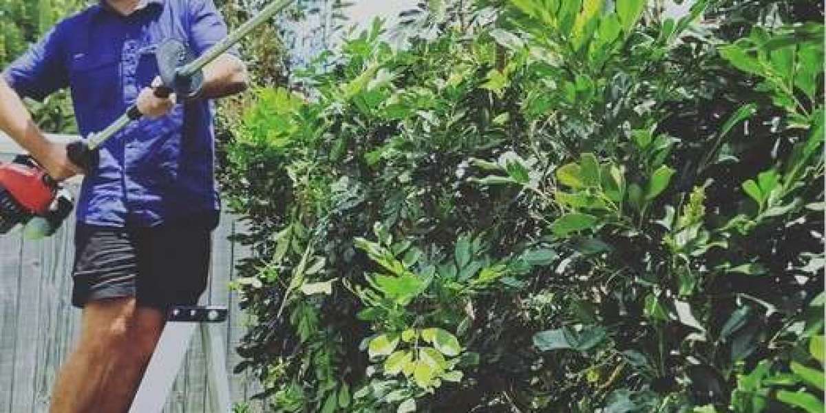 Professional Lawn Mowing Pagewood Services for a Perfect Garden