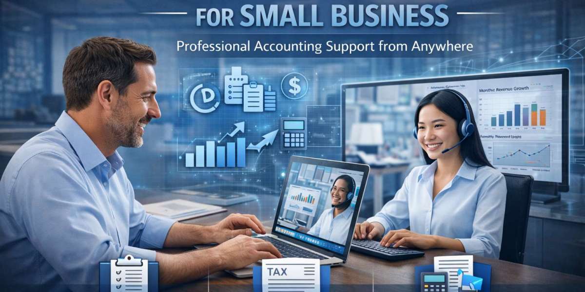 How Virtual Accountants Manage Multi-Client Data Without Errors