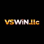VSWin llc