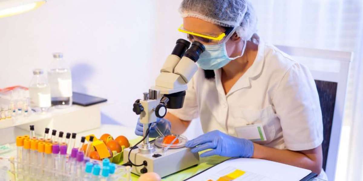 What Happens in Specialized Lab Testing? A Simple Guide