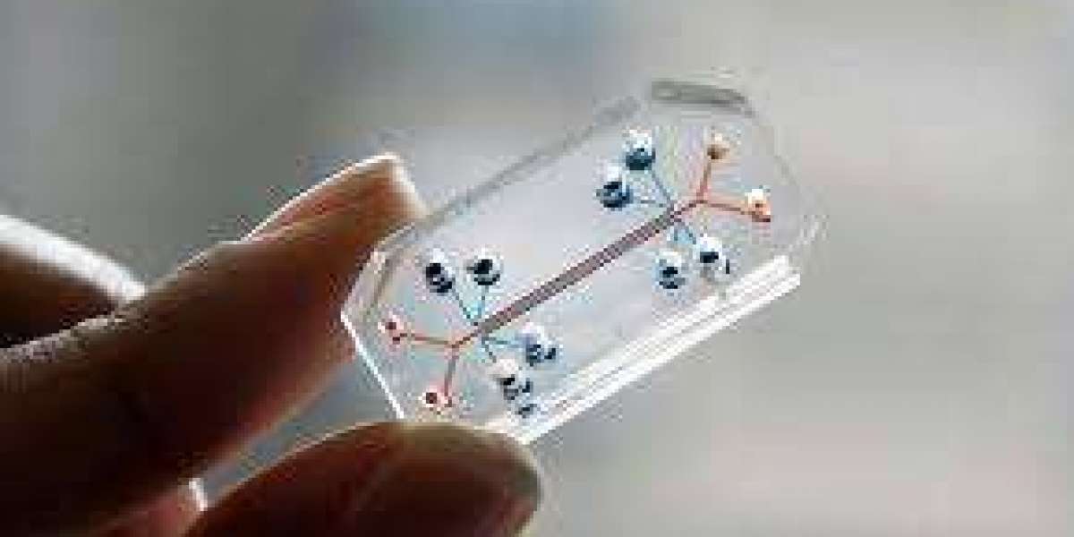 Global Organ-on-Chip Market Outlook: Growth Drivers, Technological Trends, and Forecast to 2032