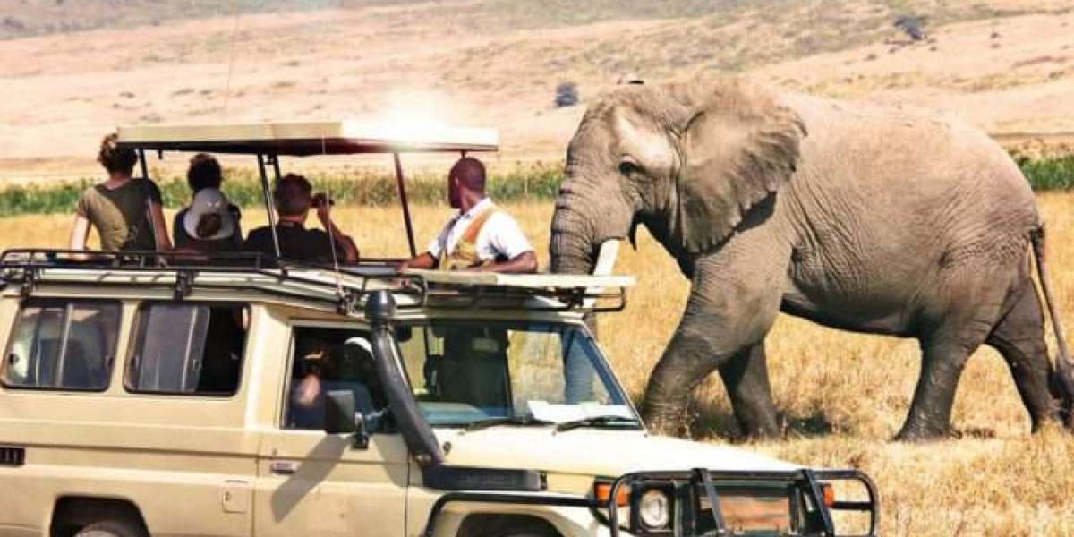 Seronera Camp Tanzania – Experience Serengeti Where Nature Leads