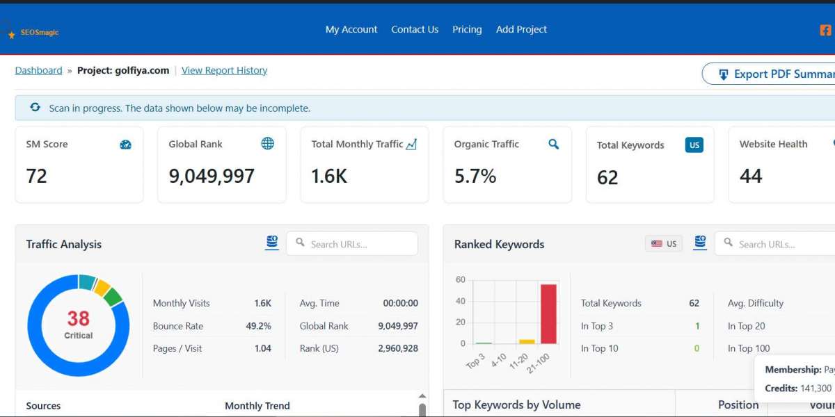 Free SEO Audit Tool – Analyze Your Website with Serpspur
