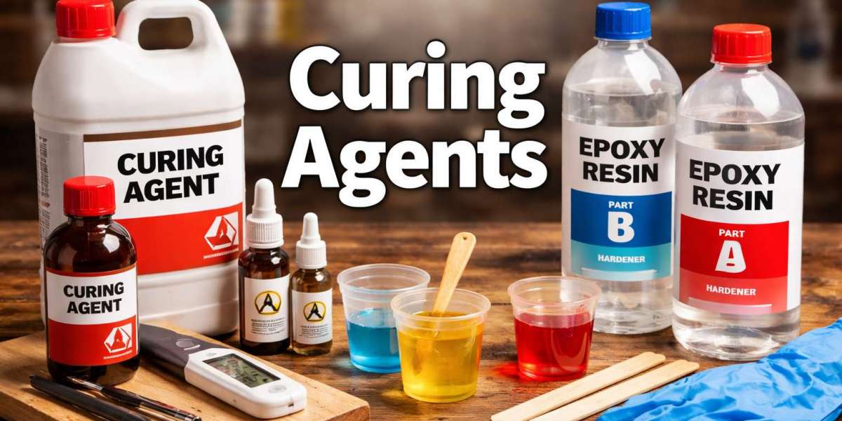 Curing Agents Market Segment Insights: Growth Analysis Across Key Categories by 2031