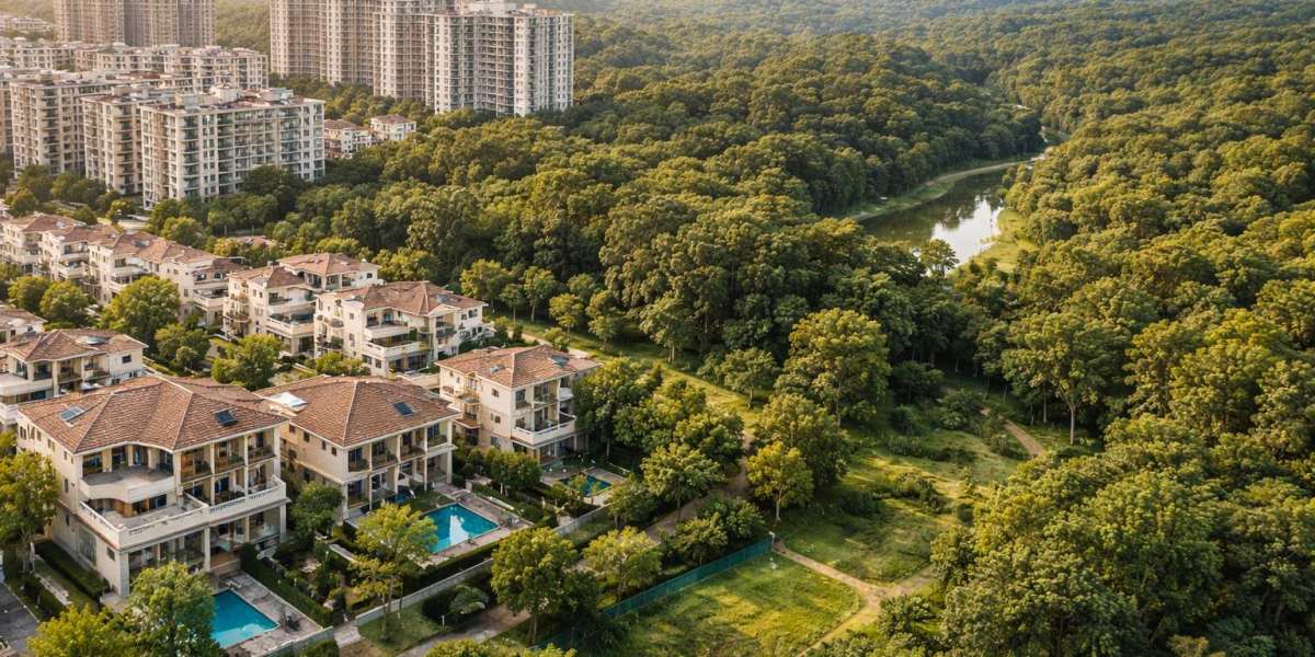 Forest Buffer Zones in Bangalore Key Rules for Safe Investment