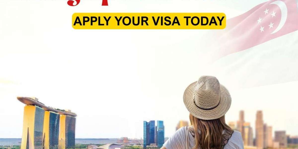 B2B Business Visa Solutions by The Visa Monster: Simplifying Global Travel for Agents