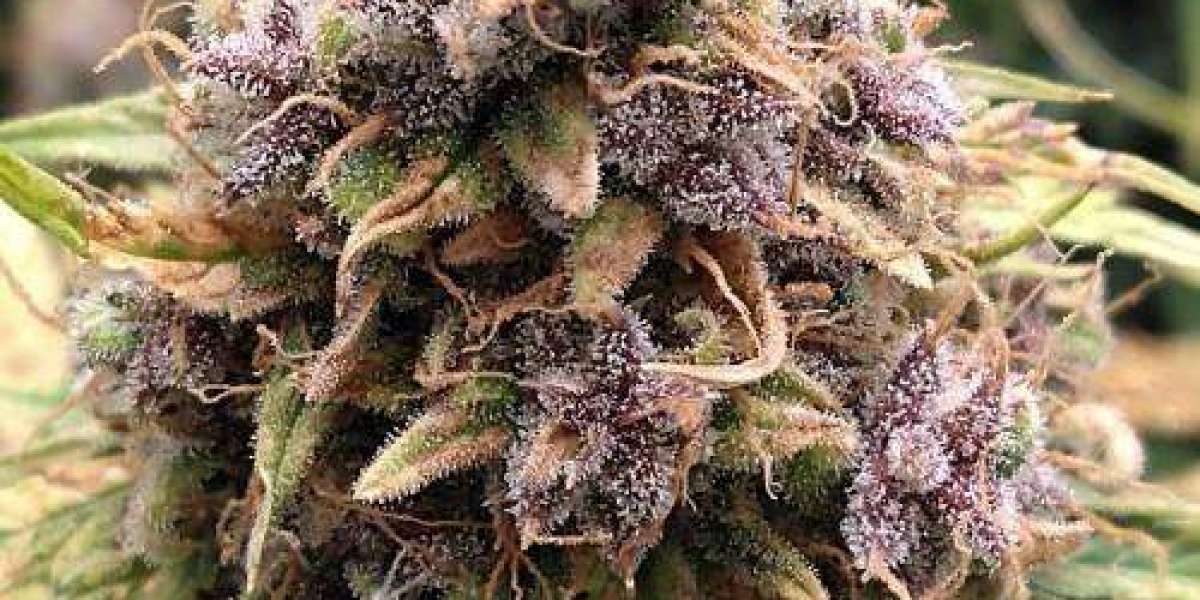 The Rise of Online Cannabis Shopping and What It Means for You