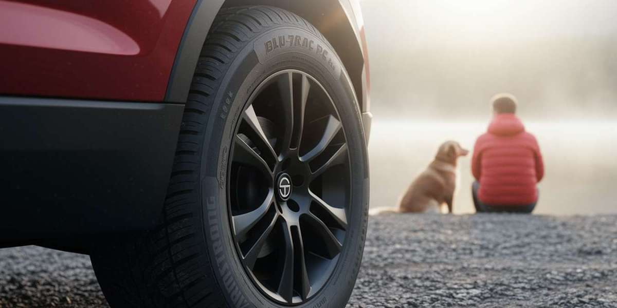How do you buy online 275/55R20 Tires in Shop by Size?
