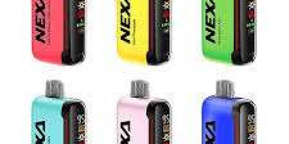 A Closer Look at the Lost Mary Nexa N20000