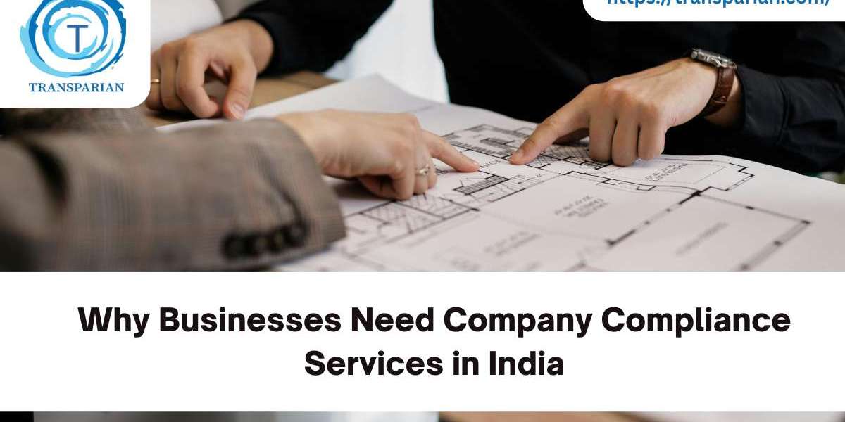 Why Businesses Need Company Compliance Services in India