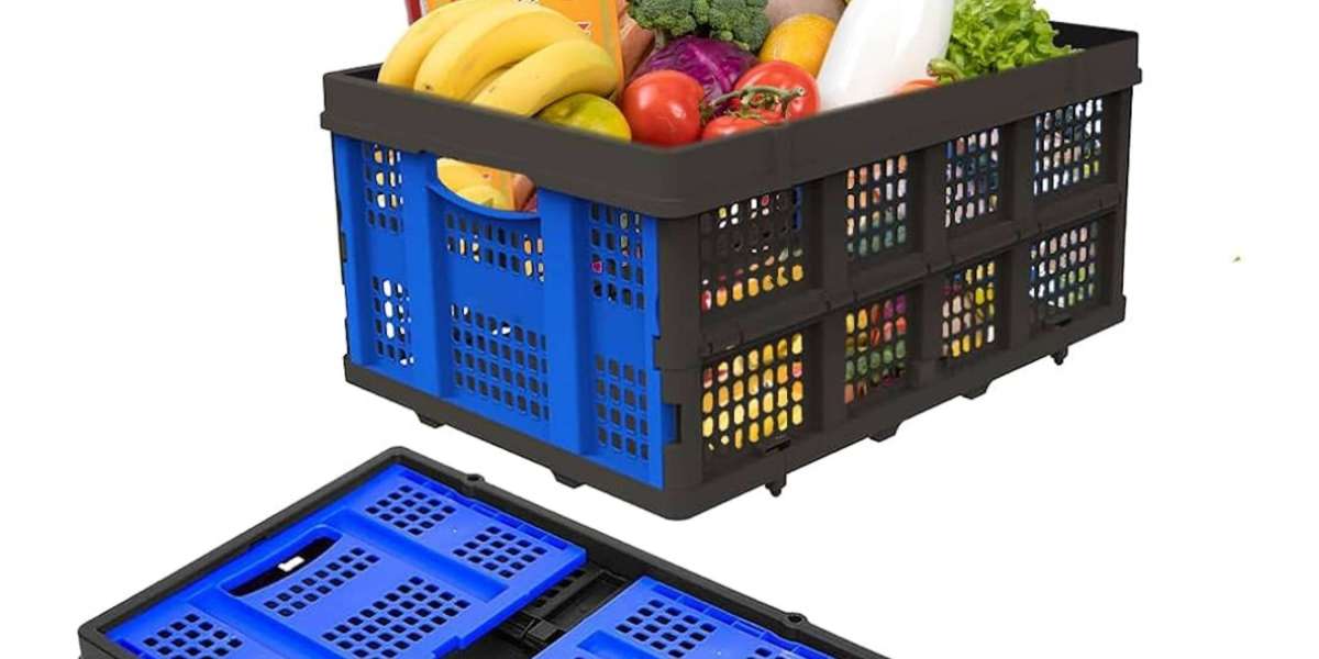 Foldable & Collapsible Crates: Smart, Space-Saving Solutions for Efficient Storage and Transport