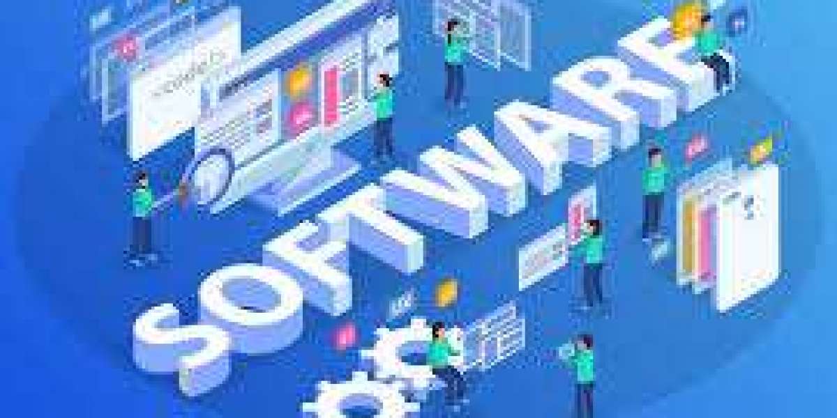 Looking for a Custom Software Development Company in Noida