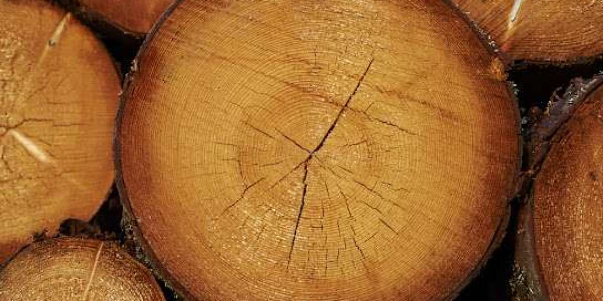 Trusted Timber Shop Sydney for Quality Materials