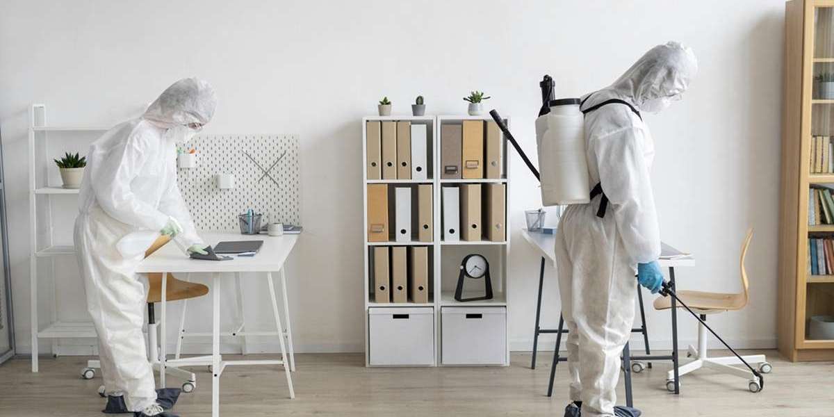 How do I Choose Safe Pest Control in Sydney?