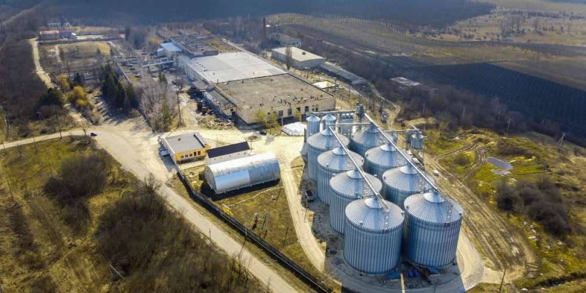 What Are the Opportunities in Brazil's Biogas Market?