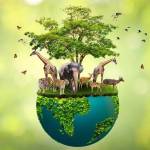 Lecce Biodiversity
