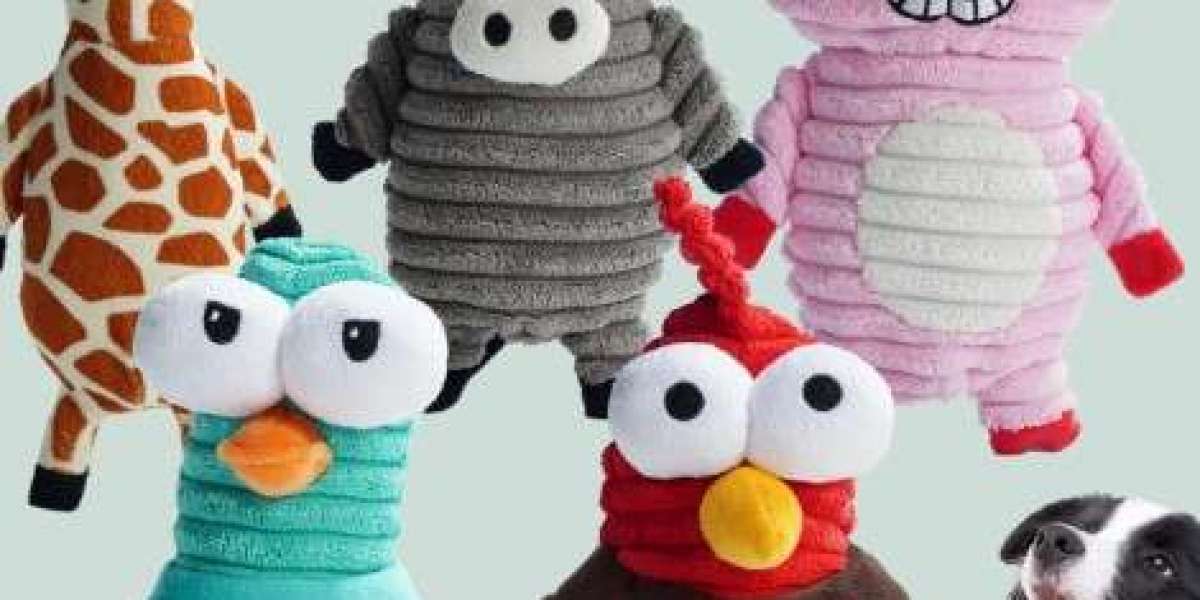 The Best Funny Dog Squeaky Toys from ZhuoxinPet for Every Dog