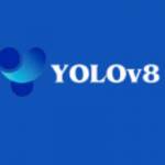 Yolov 8