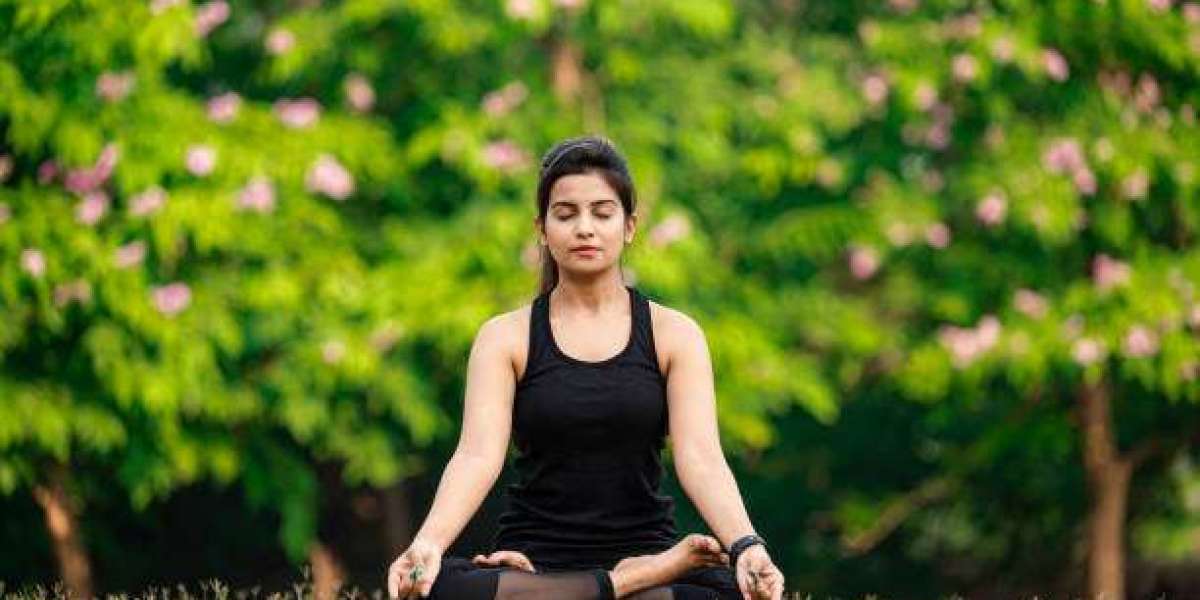 Wego6 Weight Loss UK: The Science Behind This Trending Wellness Supplement