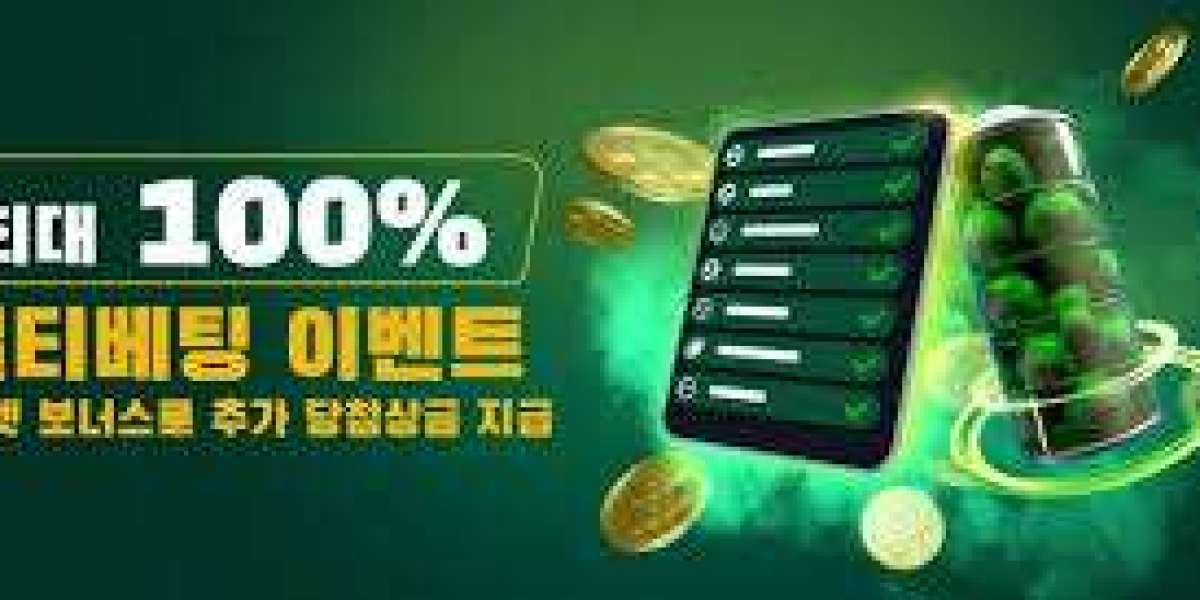 벳위즈 보너스 신청｜한 번 보면 빠져든다… 숨겨진 혜택 구조 전격 해부