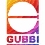 Gubbi Civil