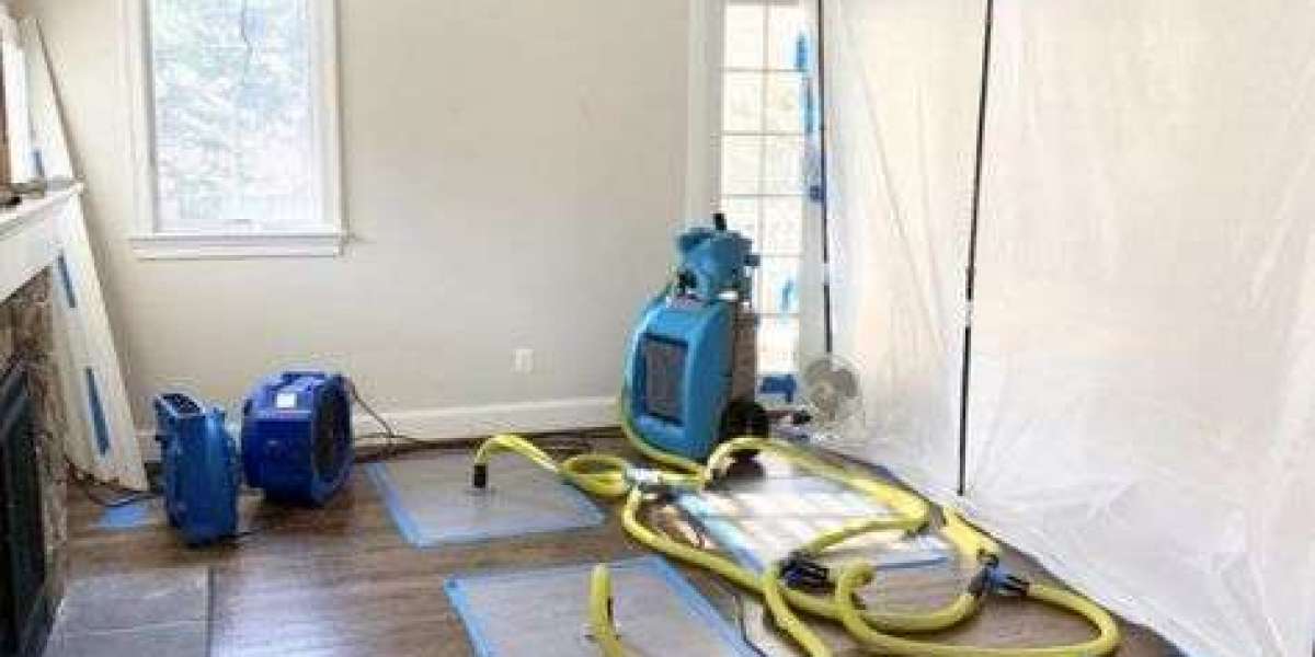 Expert Mold & Water Damage Services in Iowa Falls Guide Now