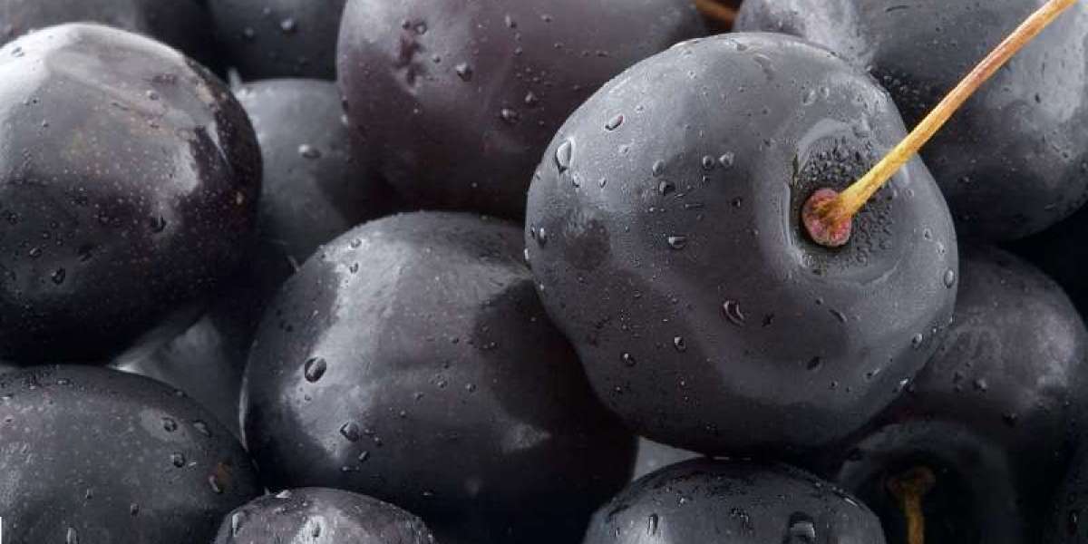 Ammunition Market SWOT Analysis by Future Insights 2026 to 2036