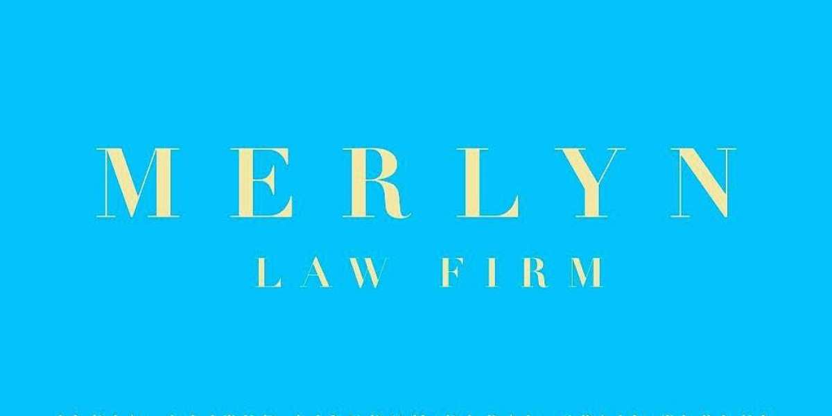 Best Divorce and Family Lawyer: A Complete Guide for Families in Transition