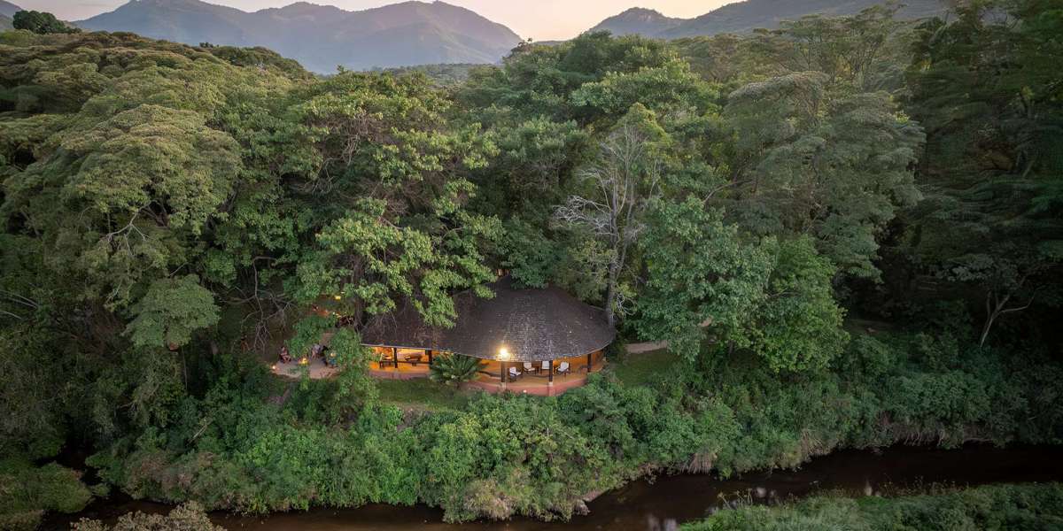How to Choose the Perfect Safari Lodge for an Unforgettable Adventure