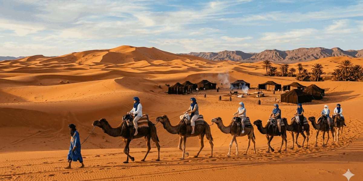 How to Curate the Perfect Journey with Classic Morocco Tours for 2026