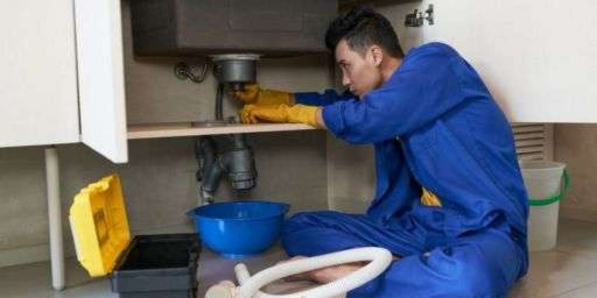 When Your Pipes Act Up and You Need Real Help