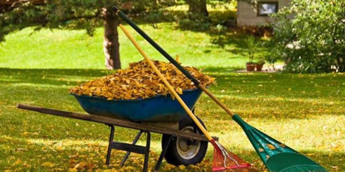 Why DIY Yard Cleanup Isn’t Always the Best Option