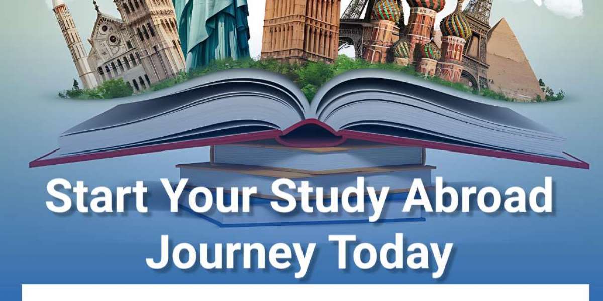 Your Gateway to Global Education: Choosing the Right Study Visa Consultant in Mohali