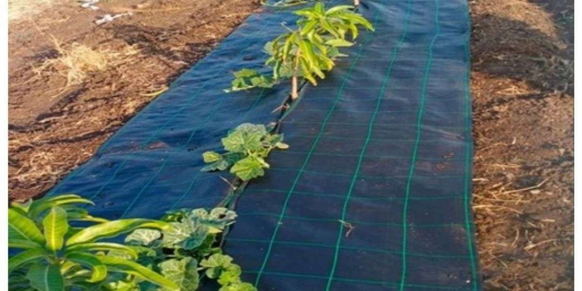 Weed Mat Solutions for Effective and Long-Lasting Weed Control