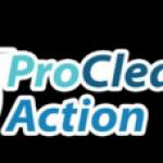 Pro Cleaning Action LLC